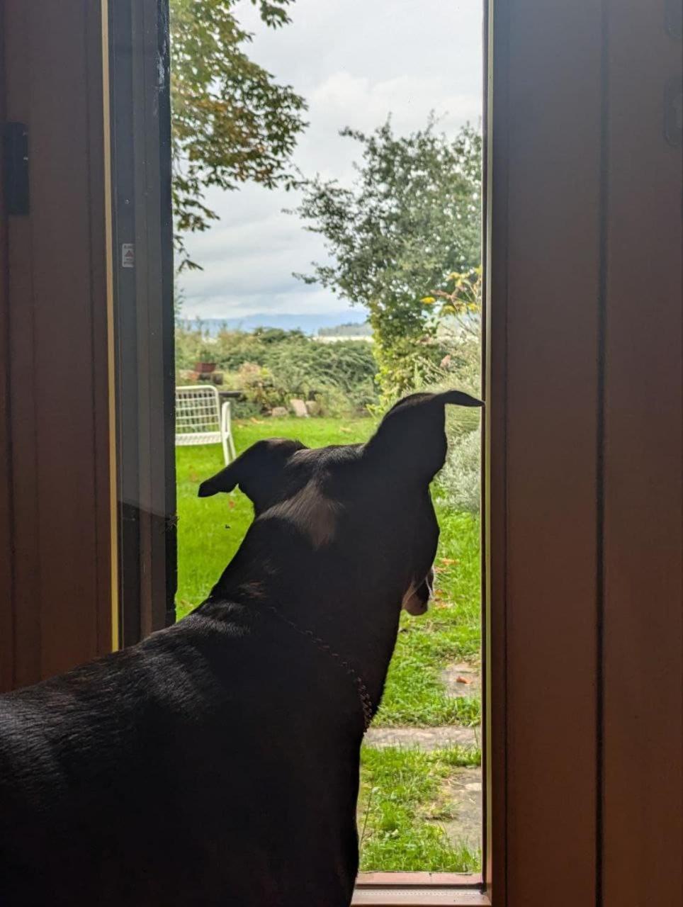 Chalet Sul Trasimeno SantʼArcangelo Kültér fotó