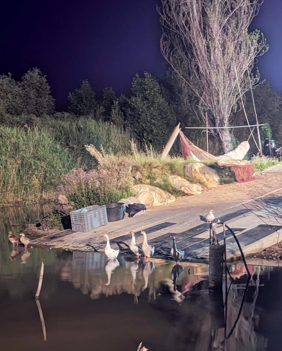 Chalet Sul Trasimeno SantʼArcangelo Kültér fotó